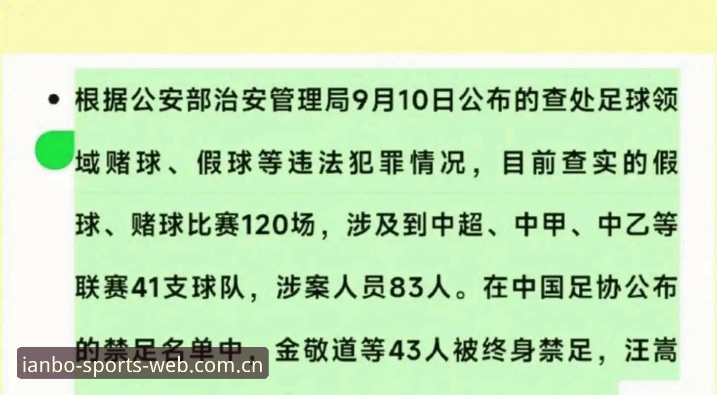 天博体育官网地址iOS版 资深用户分享:从足协第三批禁足名单看中国足球清算风暴